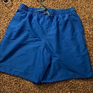 Nike Men's Vibrant Blue Swimming Trunks